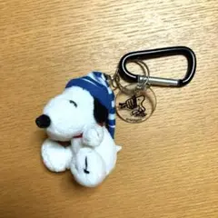 けー様専用　　スヌーピー　カラビナ付きマスコットキーホルダー