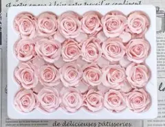 プリザーブドフラワー 花径2-2.5cm 24輪　バラ 小ぶり　 ライトピンク