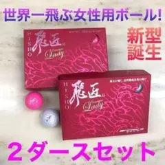 女性用で一番飛ぶ世界最高高反発 ワークスゴルフ 飛匠プレミアムレディ 2箱セットのサムネイル