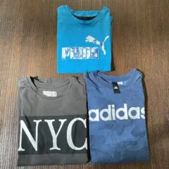 Puma & Adidas &ZARA Tシャツ 3枚セット サイズ140