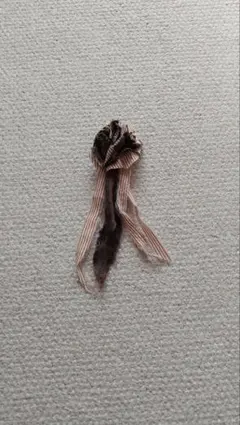 Item thumbnail for item 8cc92d8b-0d67-4be8-98d7-5b181ba68b82