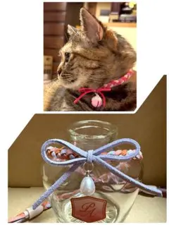 ⭐️ハンドメイド猫の首輪⭐️のサムネイル