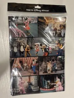 ディズニー イマジニングザマジック クリアファイル 2枚セット クリアホルダー