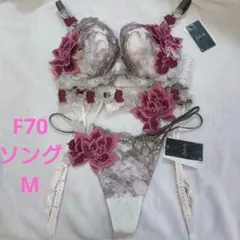 【さやか】サルート90G F70 ＆　ソングМ　PU さやか様専用】サルート90G F70 ＆ ソングМ PU - メルカリ