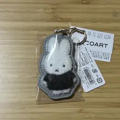 Item thumbnail for item 3ca26466-383e-40d5-82ab-24bcf4ed457f