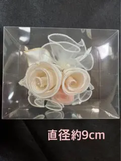 Item thumbnail for item 302035a5-465b-4145-b8cc-d901e4903d6e