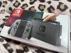Nintendo Switch グレー 一式 - メルカリ