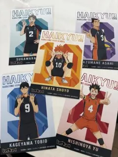 ハイキュー!! 5枚セット ポストカードサイズ