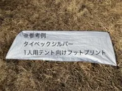 Item thumbnail for item 29d582f4-5b7e-4595-8bac-cb3091149eab