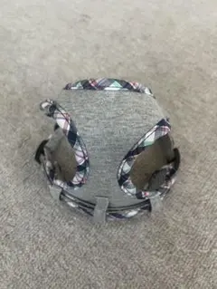 Item thumbnail for item 0b2d34b4-4ba4-46cf-8996-f5849cb4adbf