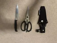 Item thumbnail for item 0e89039f-6ed2-4d4f-b130-abfdd1bb0e26