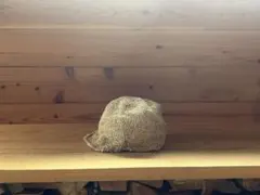 Item thumbnail for item 1a3d7c8b-3d18-4173-bf0d-e8f79ff12042