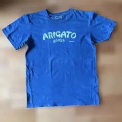 Item thumbnail for item 49e09952-2794-4162-b388-51839e15816f