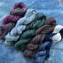 Item thumbnail for item 88afc674-b34a-48e9-81b3-0de189b32af1