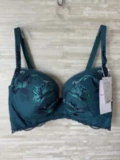 F75」トリンプ プレミアム レッドレーベル 春空木蓮刺繍 ブラジャー