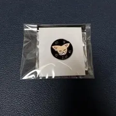 スキズ 展示会 ランダムピンバッジ フォクシニー アイエン