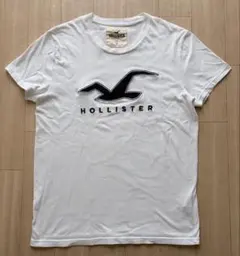 HOLLISTER★ロゴ★Tシャツ★ホリスター★白