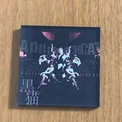 Acid Black Cherry アクリルマグネット
