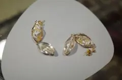 エレガントなクリアプラスチックピアス