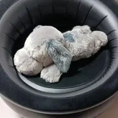 スヌーピーのぬいぐるみ