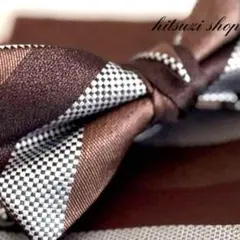 ☆蝶ネクタイ　2点セット　ブラウン　新郎　挙式　おしゃれ　高級 小物　0g7k