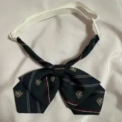 イーストボーイ　制服　リボン　コスプレ　スクールリボン