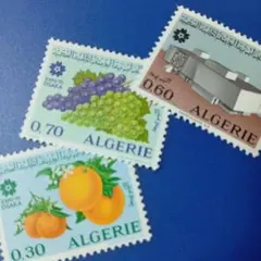 べるちん様 リクエスト 5点 まとめ商品