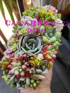 2026年最新】多肉寄せ植えそのまま飾れるの人気アイテム - メルカリ