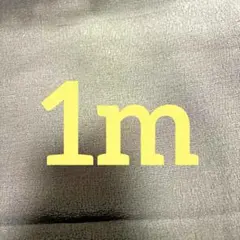 Item thumbnail for item fbb93fb1-f8e1-4810-914e-11a343d06994