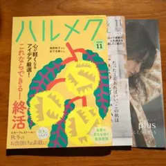 ハルメク 2026年11月号