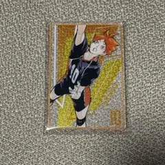 ハイキュー　ステータスカードコレクションver.2 日向翔陽