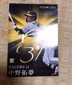 Item thumbnail for item 6b973045-7139-41eb-b1bf-52281a998d8e