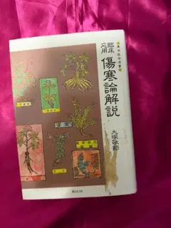 2026年最新】臨床応用傷寒論解説の人気アイテム - メルカリ