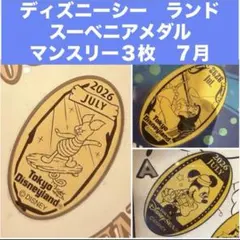 ディズニー　スーベニアメダル　マンスリー　3枚のサムネイル