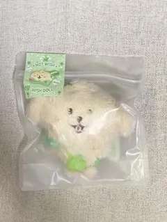 2025年最新】nct wish ジェヒ ぬいぐるみの人気アイテム - メルカリ