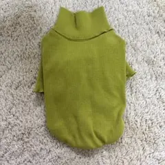 Item thumbnail for item 417a1ea4-5f8a-45b6-8c2e-3c9cf8d2ce38