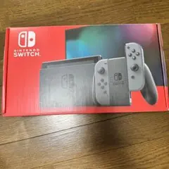 Nintendo Switch グレー 本体（付属品込み）
