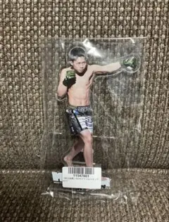 RIZIN アクリルスタンド 秋元強真 クレマス限定 - メルカリ