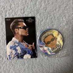 ELLY フォトカード　缶バッジ