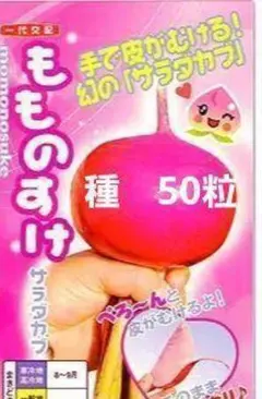 leno様 リクエスト 2点 まとめ商品