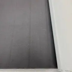 Item thumbnail for item 4c5ff236-dd42-4699-86ca-8b70b07ecef0