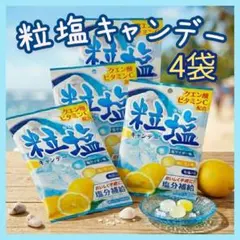 粒塩キャンデー50g×4袋 塩サイダー味・塩レモン味 塩飴 しお飴 熱中症対策のサムネイル