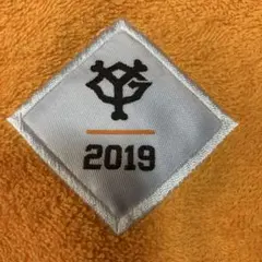 2019年オレンジタオル 応援グッズ　ジャイアンツ