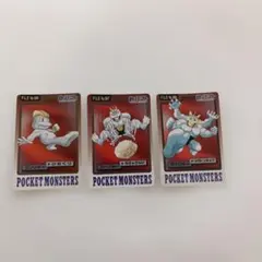 ワンリキー、ゴーリキー、カイリキー、FILE No.066から068のカード3枚