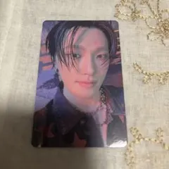 セブチ 会場限定 大阪 ディノ