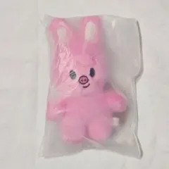 2026年最新】straykids ぬいぐるみ トエッキの人気アイテム - メルカリ