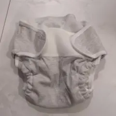 Item thumbnail for item c81ac110-9d86-4548-900e-2a0971f63319