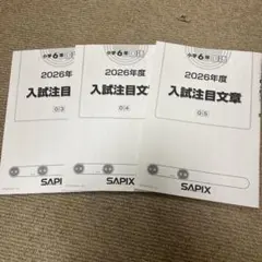 2026年最新】サピックス教材の人気アイテム - メルカリ
