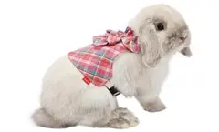 Item thumbnail for item 8452b904-8eca-4978-99f5-171e9a527f86