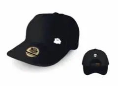 ぽこあポケモン　限定キャップ　メタモン　オリジナルキャップ 帽子　特典エディオン